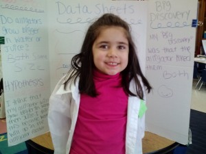science display boards 004