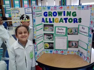 science display boards 006