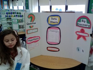 science display boards 010