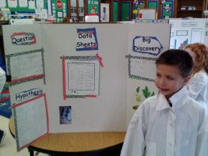 science display boards 011