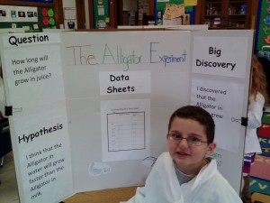 science display boards 012