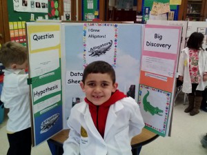 science display boards 013