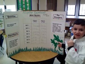 science display boards 015