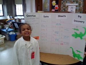 science display boards 016