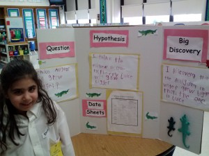 science display boards 018