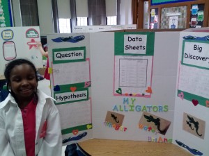 science display boards 019