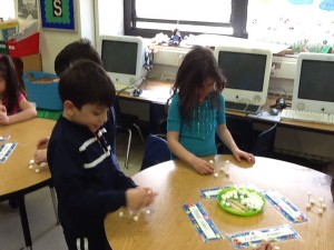 photo 3 (2)