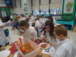PBL earth science 030