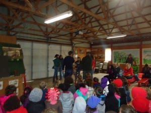 Apple orchard field trip 2015 003
