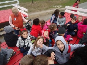 Apple orchard field trip 2015 004 - Copy
