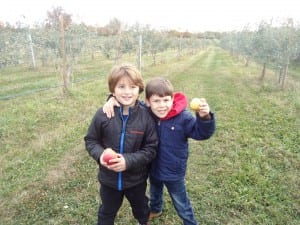 Apple orchard field trip 2015 007