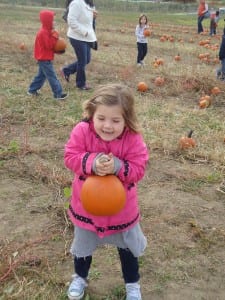 Apple orchard field trip 2015 011