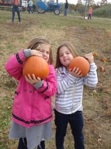 Apple orchard field trip 2015 013