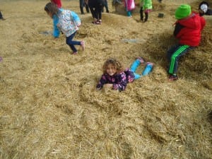 Apple orchard field trip 2015 015
