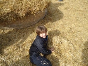 Apple orchard field trip 2015 018 - Copy