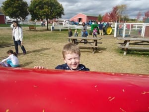Apple orchard field trip 2015 020