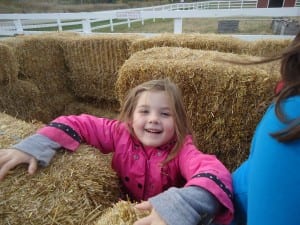 Apple orchard field trip 2015 027