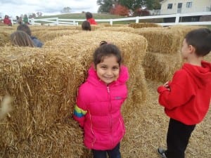 Apple orchard field trip 2015 031