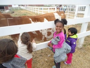 Apple orchard field trip 2015 032