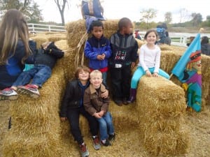 Apple orchard field trip 2015 033