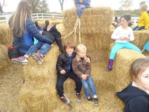 Apple orchard field trip 2015 034