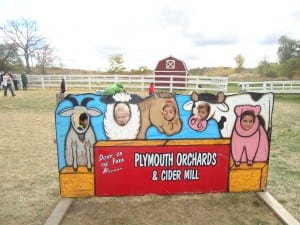 Apple orchard field trip 2015 035