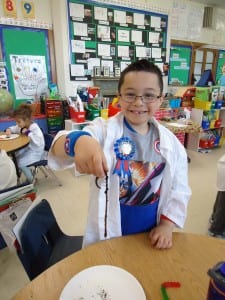 Mad Science gummy worms 017 - Copy