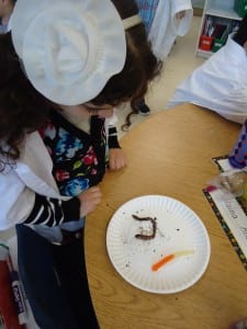 Mad Science gummy worms 019 - Copy