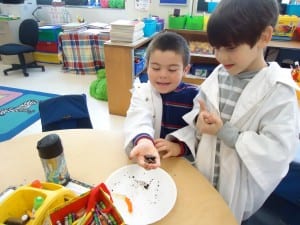 Mad Science gummy worms 023