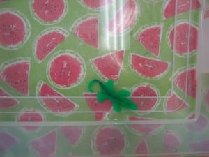 growing alligators 020