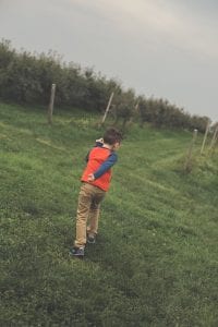 orchard12