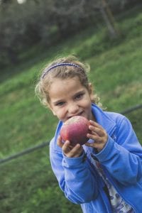 orchard17