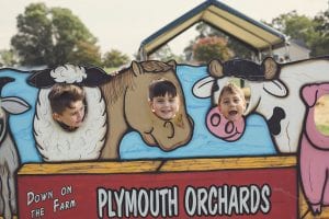 orchard29