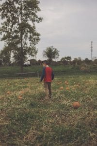 orchard46